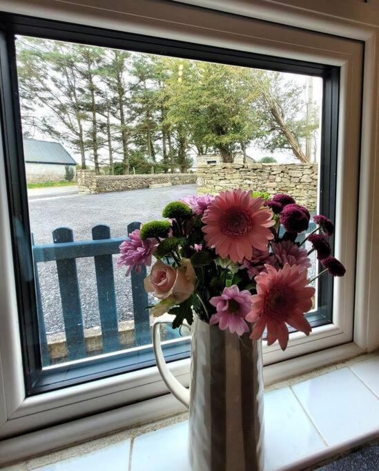Killawalla Cottage, Westport. المظهر الخارجي الصورة